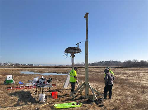 Building of the osprey nest camera platform